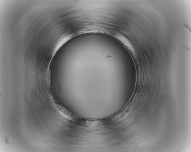 X0000095551242200712281559