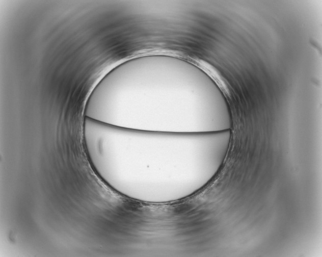 X0000095551244200712281559