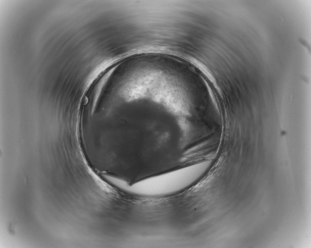 X0000095551245200712281559