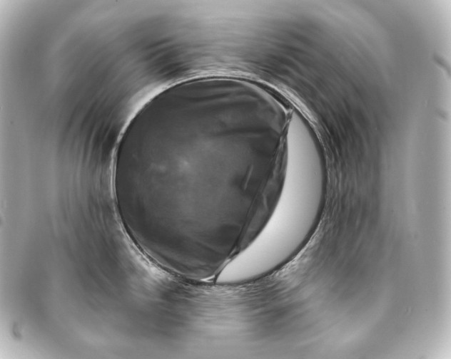 X0000095551246200712281559