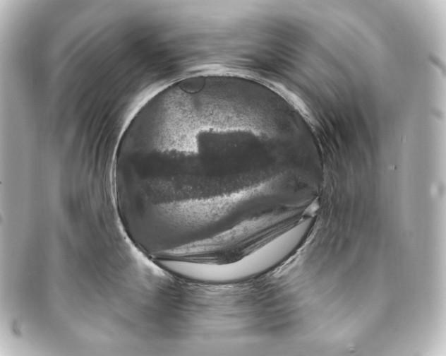 X0000095551247200712281559