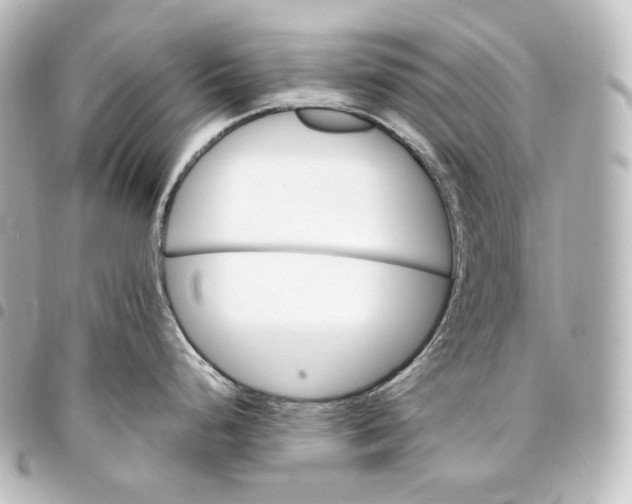 X0000095551248200712281559