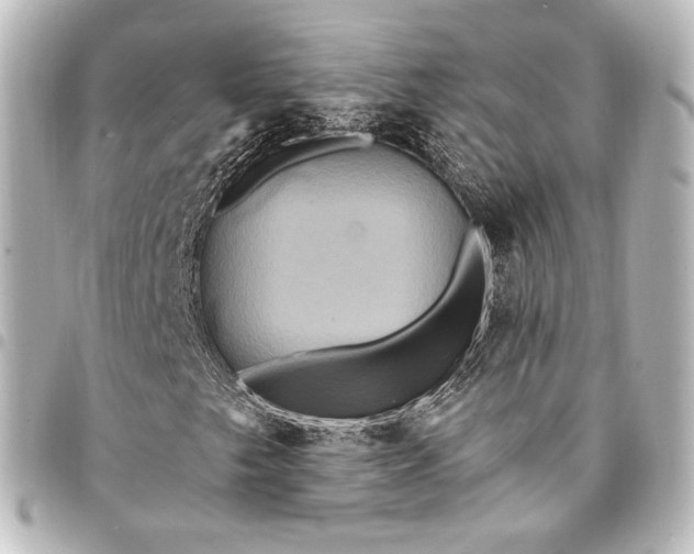 X0000095551249200712281558