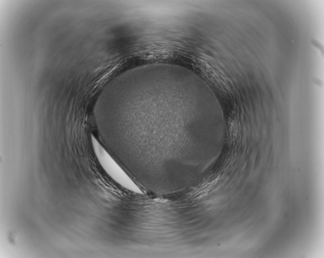 X0000095551250200712281558