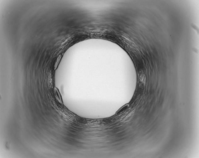 X0000095551252200712281558