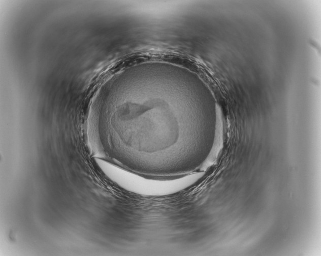 X0000095551253200712281558