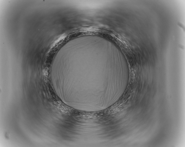 X0000095551254200712281558