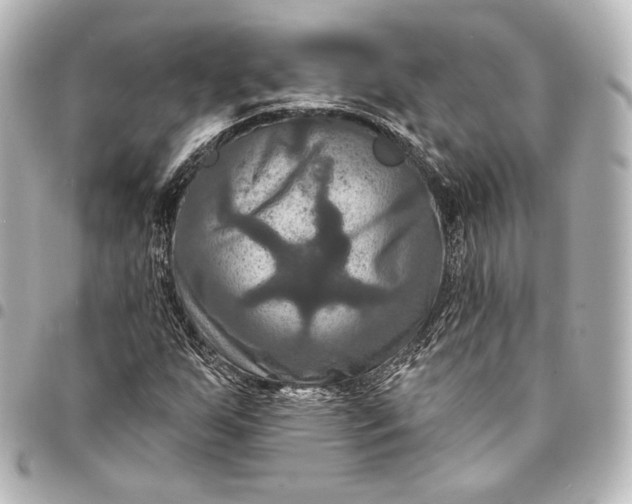 X0000095551255200712281558