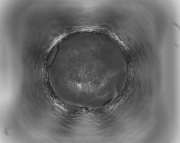 X0000095551256200712281558