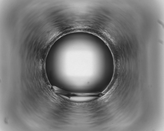 X0000095551257200712281558