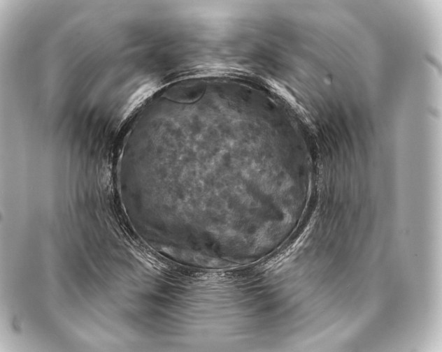 X0000095551259200712281558