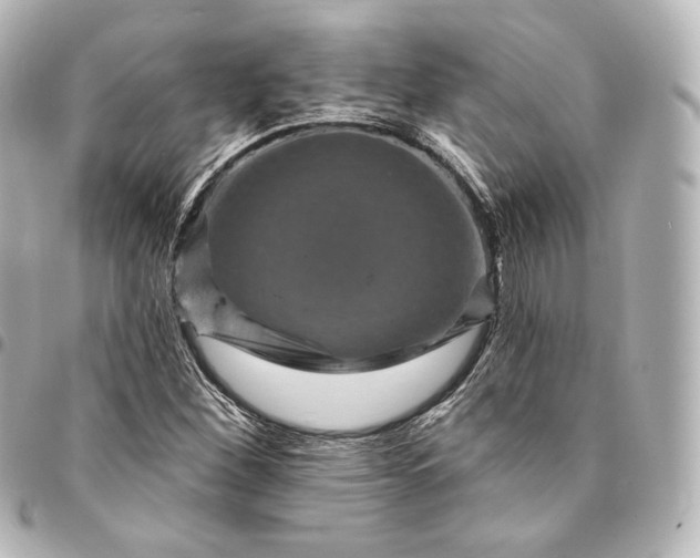 X0000095551260200712281558