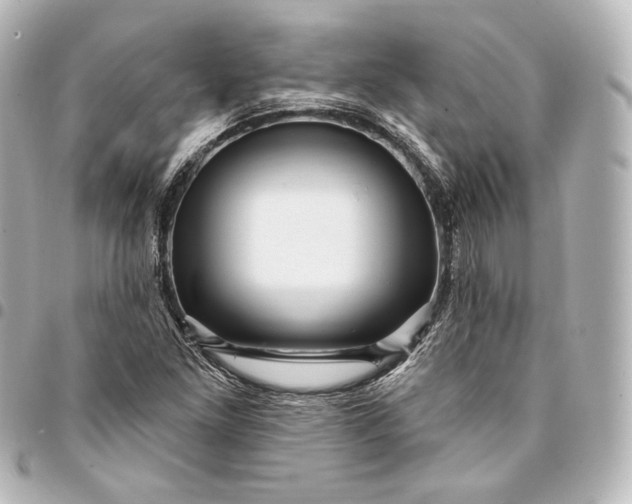 X0000095551261200712281558