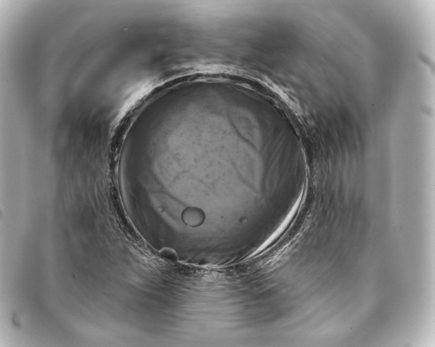 X0000095551263200712281558