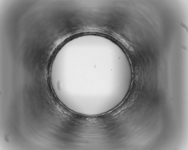 X0000095551264200712281558