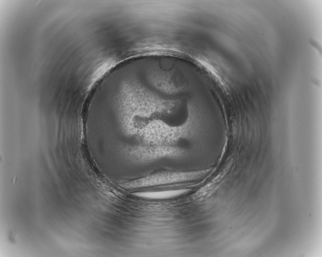 X0000095551267200712281558