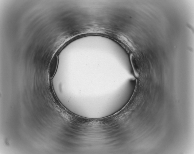 X0000095551268200712281558