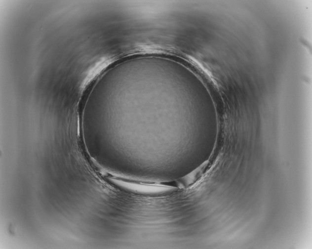 X0000095551269200712281558