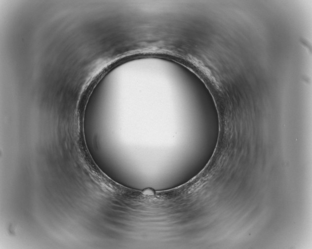 X0000095551270200712281558