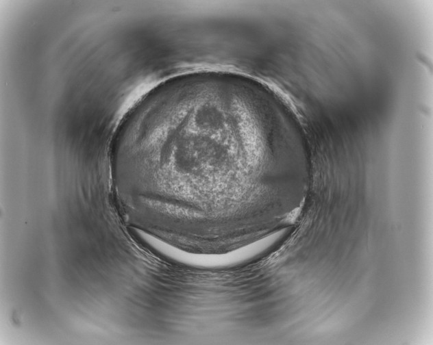 X0000095551271200712281558