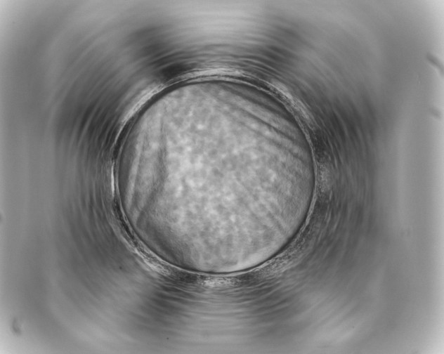 X0000095551274200712281558