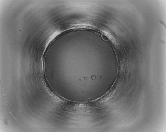 X0000095551275200712281558