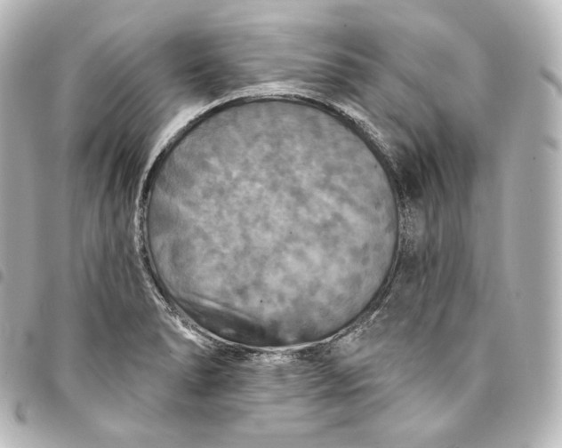 X0000095551278200712281558