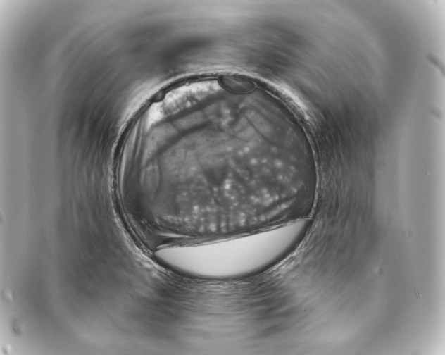 X0000095551279200712281558