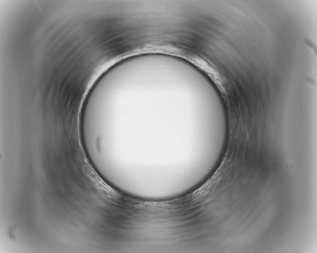 X0000095551280200712281558