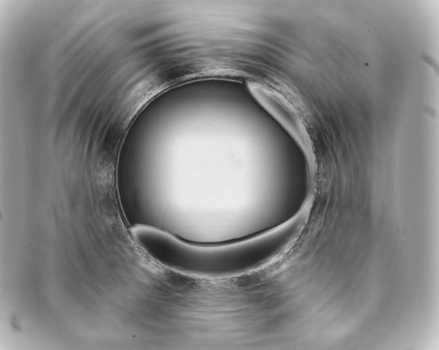 X0000095551281200712281558