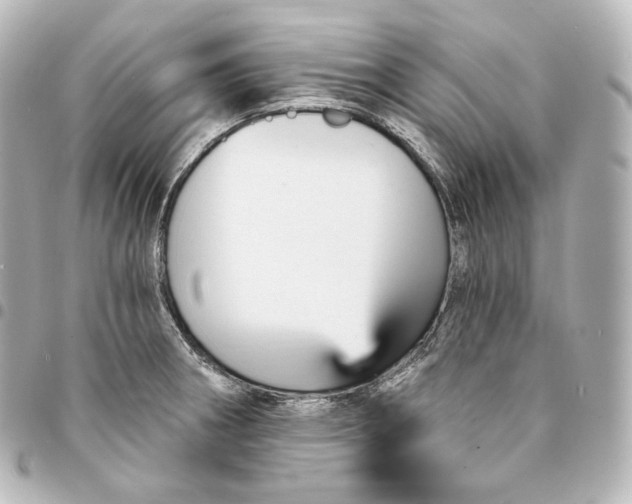 X0000095551282200712281558