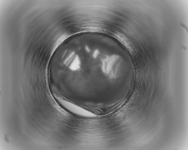 X0000095551283200712281558