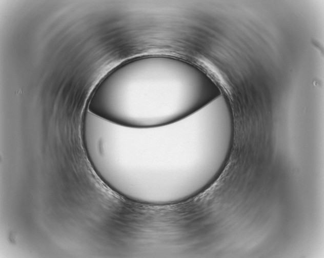 X0000095551284200712281558