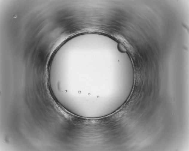 X0000095551286200712281558