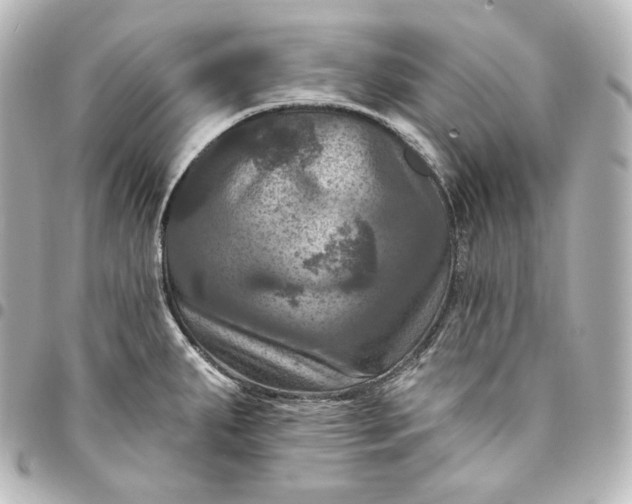 X0000095551287200712281558