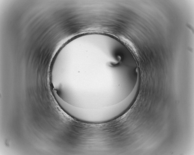 X0000095551288200712281558