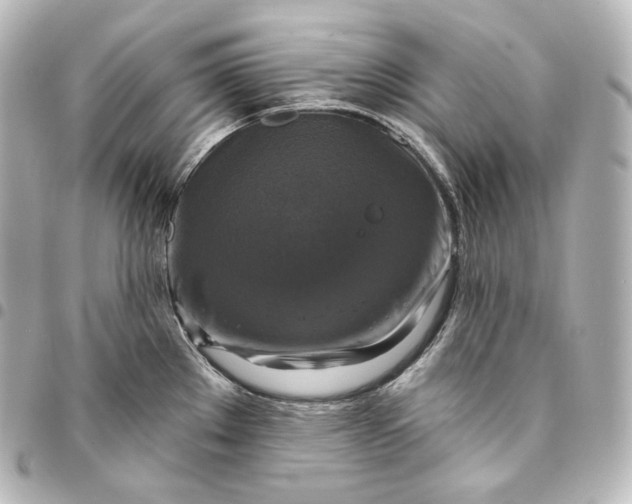 X0000095551289200712281558