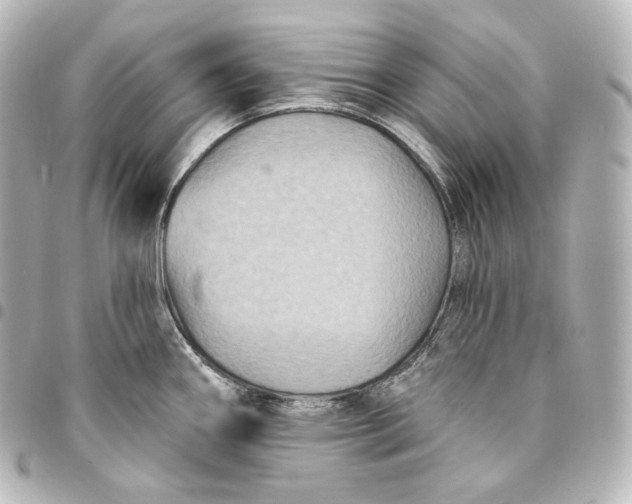 X0000095551290200712281558