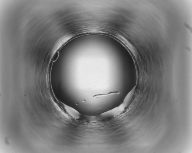 X0000095551293200712281558