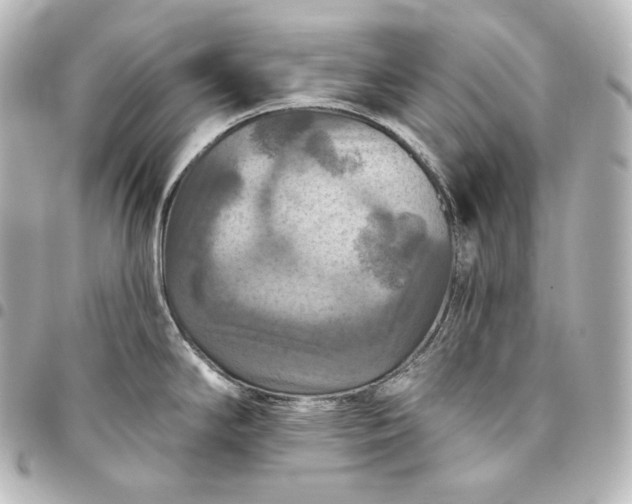 X0000095551294200712281558