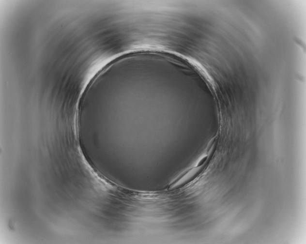 X0000095551295200712281558