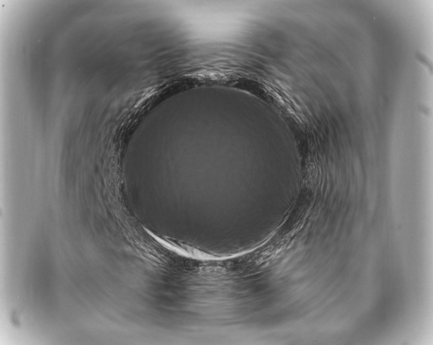 X0000095551297200712281557