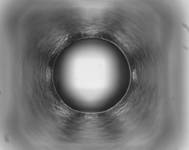 X0000095551299200712281557