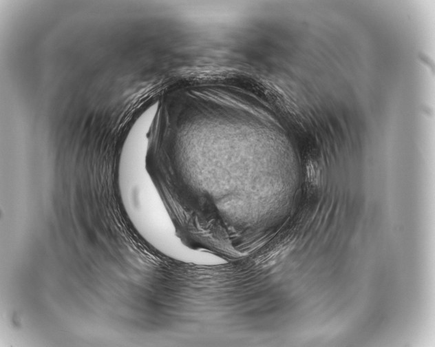 X0000095551300200712281557