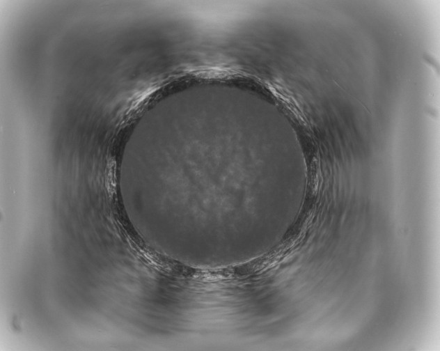 X0000095551301200712281557