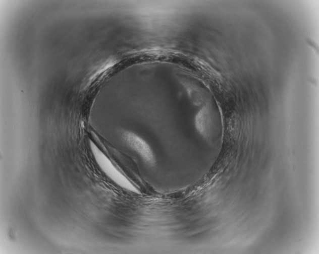 X0000095551302200712281557