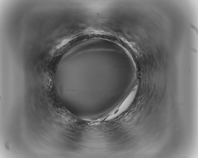 X0000095551303200712281557