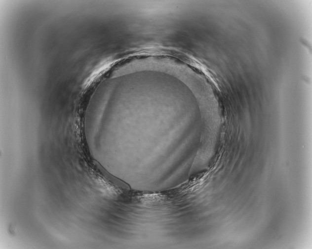 X0000095551304200712281557