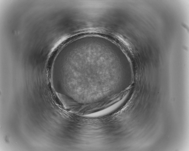 X0000095551310200712281557