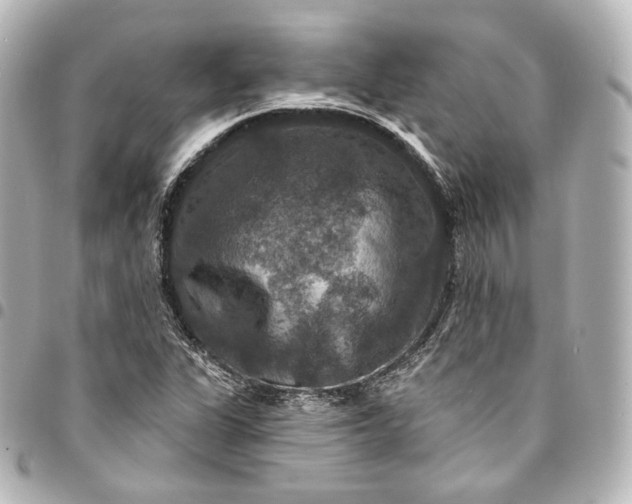 X0000095551311200712281557